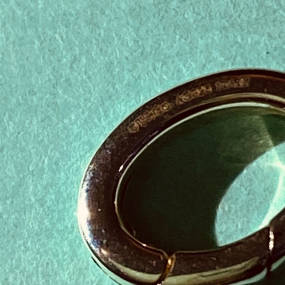 Tiffany & Co Blue Enamel Clasping Link NEW - Picture 3 of 4